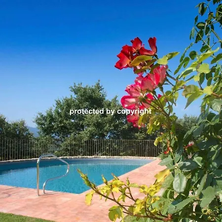 Luxury Among Vineyards بيت للعطل